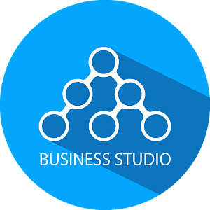 Business Studio 6 Ultimate. Конкурентная лицензия